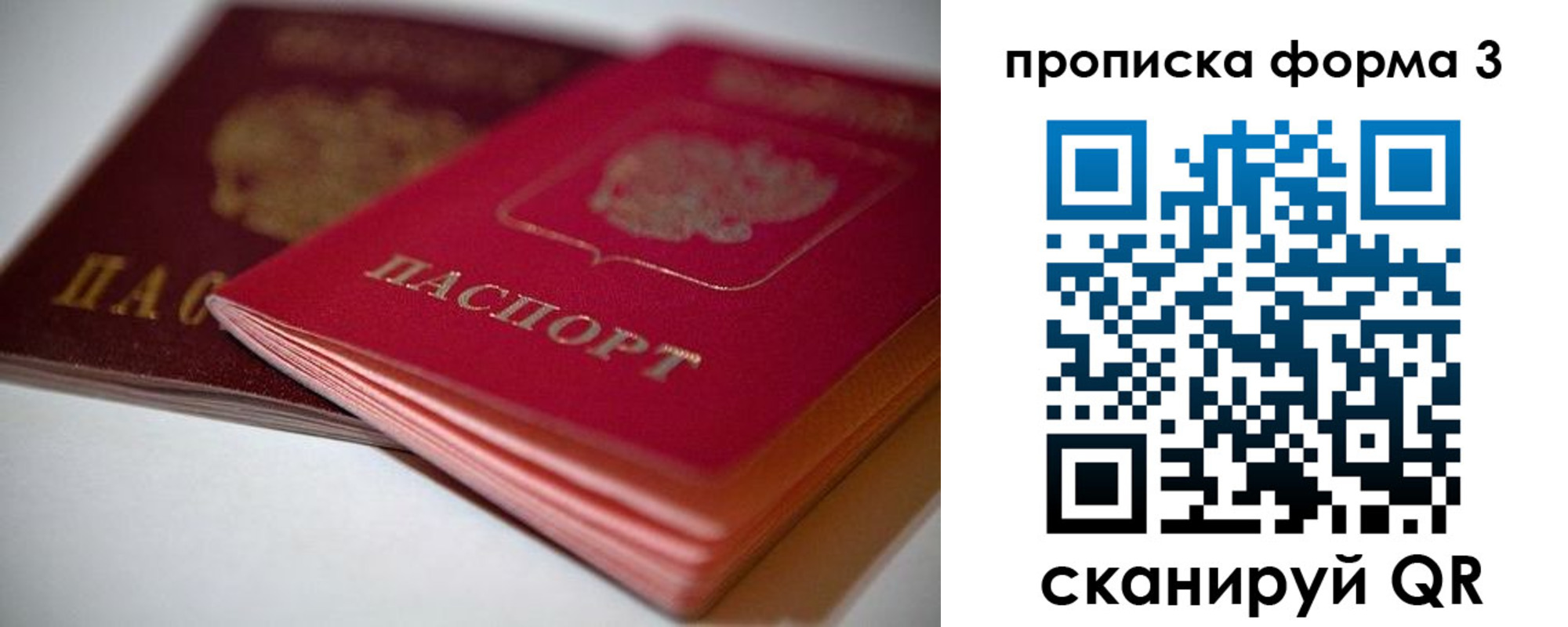 временная регистрация надежно в Железногорске